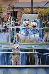Dcim12771/DSC_0059