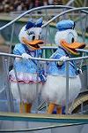 Dcim12771/DSC_0077