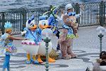 Dcim12771/DSC_0123