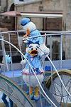 Dcim12771/DSC_0135