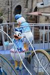 Dcim12771/DSC_0137