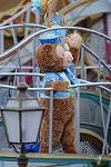 Dcim12772/DSC_0197