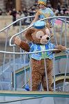 Dcim12772/DSC_0241