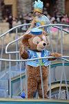 Dcim12772/DSC_0243