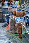 Dcim12772/DSC_0272