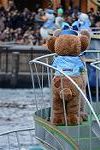Dcim12772/DSC_0275