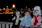 Dcim12779/DSC_1550