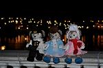 Dcim12779/DSC_1565