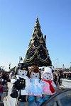 Dcim12783/DSC_1394