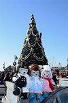 Dcim12783/DSC_1395