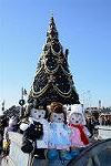 Dcim12783/DSC_1397