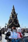 Dcim12783/DSC_1398