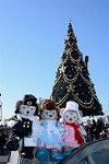 Dcim12783/DSC_1402