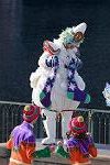 Dcim12784/DSC_1582