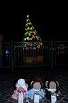 Dcim12791/DSC_2839