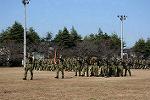 Dcim12794/DSC_2942
