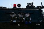 Dcim12798/DSC_3429