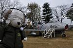 Dcim12802/DSC_2529