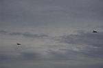 Dcim12805/DSC_3904