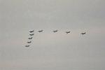 Dcim12806/DSC_4227