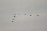 Dcim12806/DSC_4228