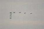 Dcim12806/DSC_4229