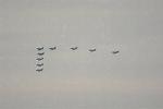 Dcim12806/DSC_4230