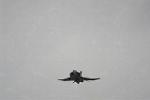 Dcim12807/DSC_4297