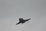 Dcim12807/DSC_4298