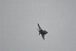 Dcim12807/DSC_4315