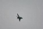 Dcim12807/DSC_4320