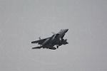 Dcim12808/DSC_4466