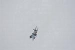 Dcim12808/DSC_4604