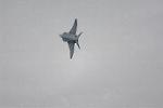 Dcim12810/DSC_4833