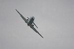 Dcim12810/DSC_4961