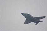 Dcim12813/DSC_5610