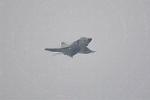 Dcim12814/DSC_5659