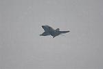 Dcim12815/DSC_5987