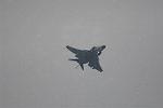 Dcim12817/DSC_6314