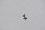 Dcim12818/DSC_6618