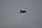 Dcim12820/DSC_1893
