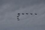 Dcim12821/DSC_2004