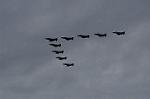 Dcim12821/DSC_2007