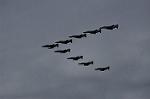 Dcim12821/DSC_2012