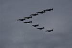 Dcim12821/DSC_2013