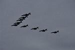 Dcim12821/DSC_2020