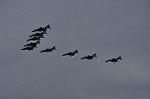 Dcim12821/DSC_2022