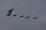 Dcim12821/DSC_2023