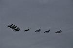 Dcim12821/DSC_2027