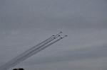 Dcim12823/DSC_2333